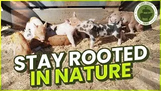 Drone vs 100 Farm Animals