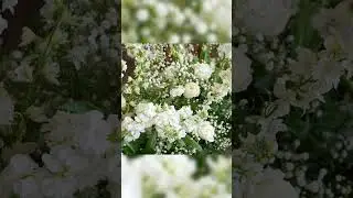 Magical Winter Wedding Decor at The Cedar Room