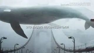 Видит про китов которых осталось очень мало...