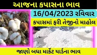 આજ ના કપાસના ભાવ | 16/04/2023 | Aaj Na Kapas na bhav | Kapas Market Yard Bhav Today