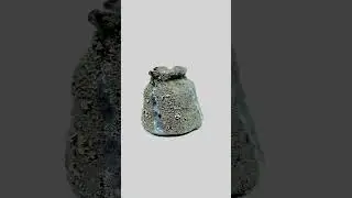 Toru Ichikawa Talent Bizen