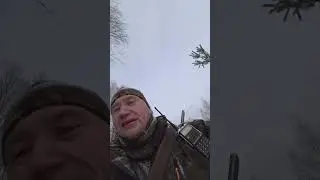 15 января