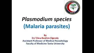 Lecture 1 : plasmodium malaria (parasitology)