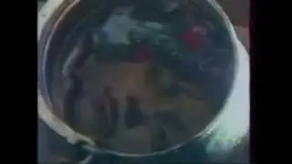 Десилица   Готви Се , Раде