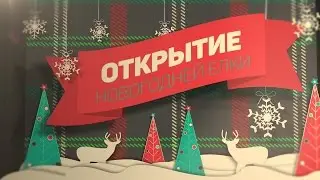 Открытие Новогодней Ёлки | Это Ирпень, ниггер 2016