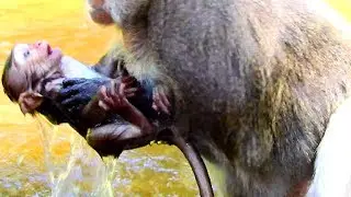 Good job Mum! Saving baby from water by old mum, Baby swim into water mum very frighten