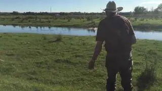 Carlin makes a blind retrieve