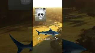 SHARKS on a golf course? #golf #golfer #bucketlist
