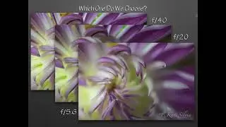 How Does Aperture Work?