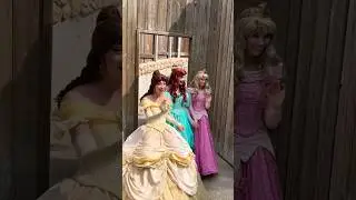 Ever seen 14 Disney Princess  #shorts