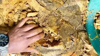 SHOCKED THE WORLD..,! AMAZING GOLD DISCOVERY, GOLD PROSPECTING, GOLD RUSH, TRADITIONAL GOLD PANNING