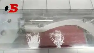 DTF T-Shirt Printing