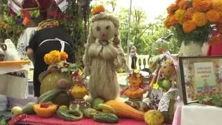 Фестиваль дерунів 2016 Коростень