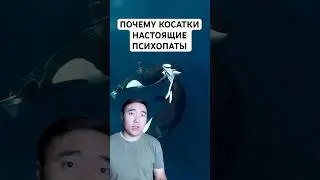 Косатки - Гопники Океана