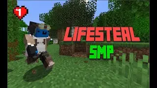 I Joined The Deadliest Public SMP