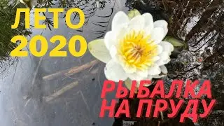РЫБАЛКА НА ПРУДУ \\ ЛЕТО 2020