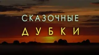 Сказочные Дубки для сказочных людей