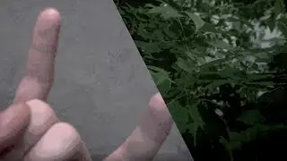 Варим чай из рандомных трав с улицы - 2 часть (Проект)