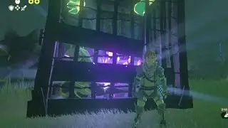 Horse x Bokoblin: The Rage Cage || The Legend of Zelda: Tears of the Kingdom