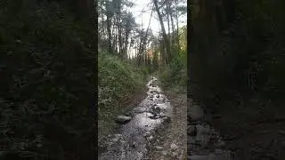 Suyun sesindeki huzur Amanos dağları