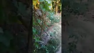 jatrapur gram 1