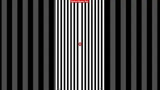This illusion is Crazy 