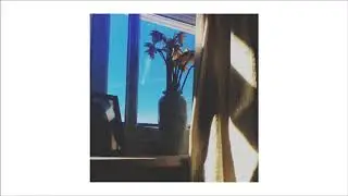 Pure Sky • Everyone Else