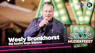Wesly Bronkhorst - De lucht was blauw • Muziekfeest op het Plein 2023 // Sterren NL