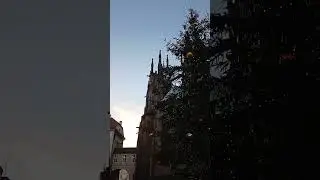 Prague evening #shorts #travel #relaxing