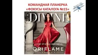 Фокусы 15 каталога, планерка для команды