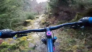 Coed Y Brenin MTB - The Beast