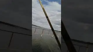 Рыбалка рядом , поймал отпустил, начало сезона