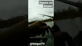 Карась на фидер на Калоше 