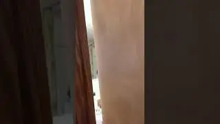 spying on my sister
