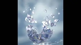 the cells