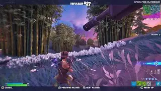 I Saw a Renegade Raidor In Fortnite