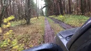 Йети бежит за машиной !!!Донецкий Аэропорт!!