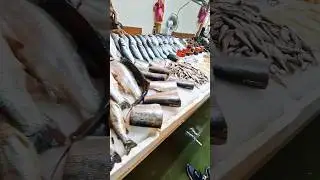 RELAX Fish Time #hunting #fish #ArmTac_Games #relaxing #relax #relaxation