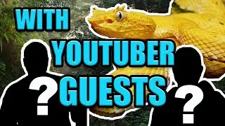 Finding TOP 10 COSTA RICAN REPTILES!! | HERPING ANNOUNCEMENT!