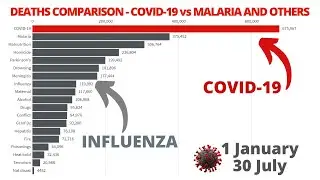Deaths Comparison: Covid-19 vs Malaria and Others - From 1 January to 30 July