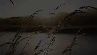 Ансамбль ЯрЫцА - Волга - реченька.