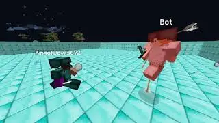 Player vs Bot