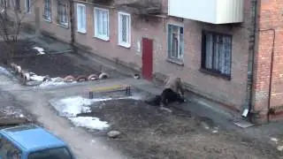 Замечательный сосед :)))