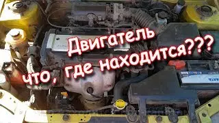 What's Under the Hood of a Car (Main Elements)