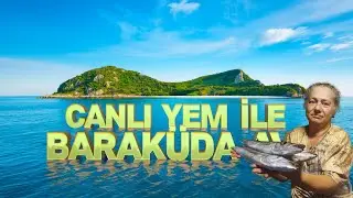 Canlı Yem İle Baraküda Avı | Ceylan Palamudu Avın da Hüsran