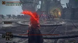 Elden Ring   Commander Niall Boss Fight