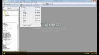 Editplus con vpro5 I