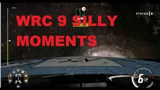 WRC 9- SILLY MOMENTS