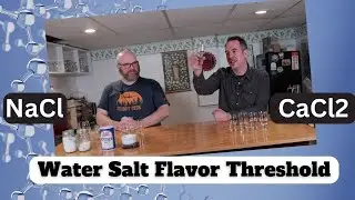 Brewing Water Salt Experiment - Testing Sodium and Calcium Flavor Threshold