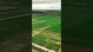 Scenic Train Route in Karnataka - Talaguppa #shorts